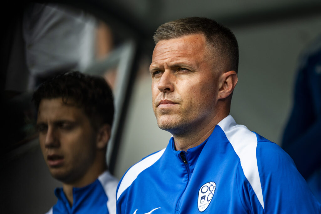 Slovenia v Armenia - International Friendly