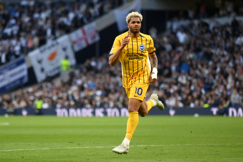Tottenham Hotspur v Brighton &amp; Hove Albion - Premier League